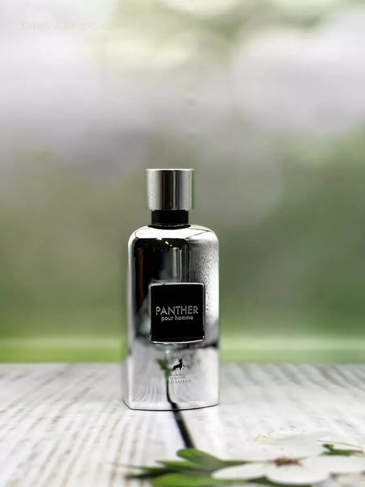 PANTHER POUR HOMME 100ML - Perfumes & Beyond