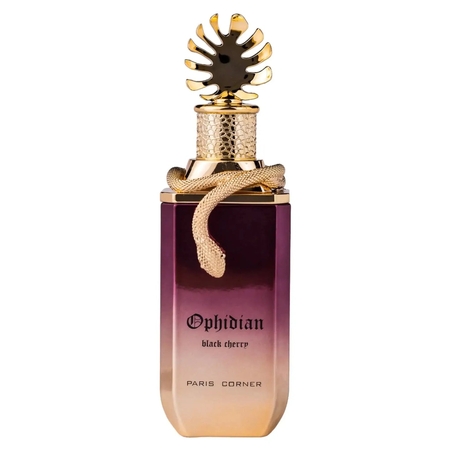 Ophidian Black Cherry Paris Corner 100 ML Perfumes & Beyond    Perfumes & Beyond