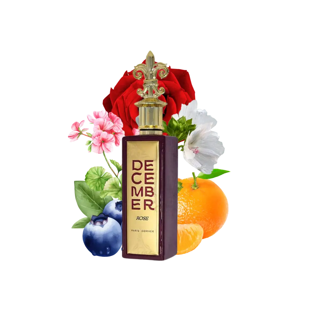 Paris Corner – December Rose 100ML Perfumes & Beyond    Perfumes & Beyond